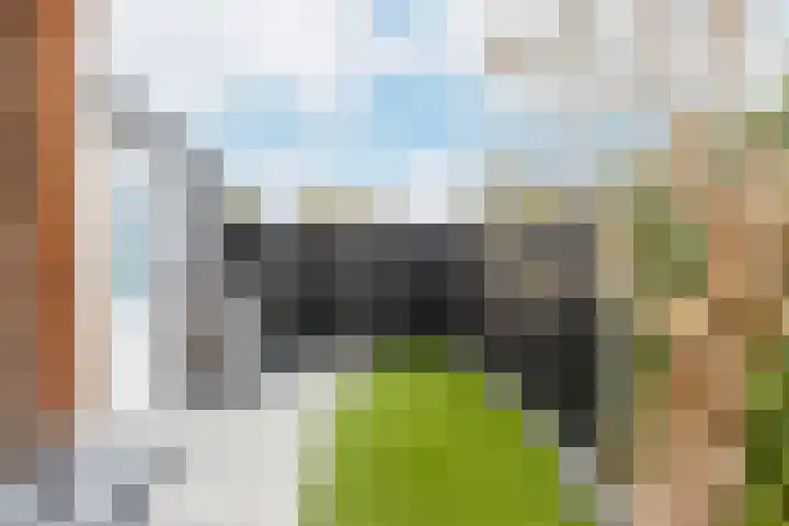 Maasdijk 2 b Heerewaarden thumbnail 41