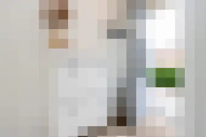 Maasdijk 2 b Heerewaarden thumbnail 6