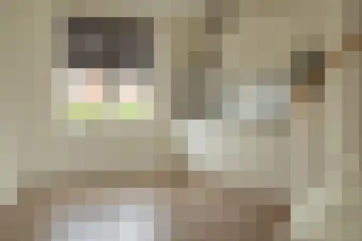Maasdijk 2 d Heerewaarden thumbnail 15