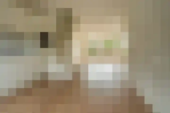 Maasdijk 2 d Heerewaarden thumbnail 18