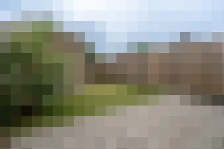 Maasdijk 2 d Heerewaarden foto 3