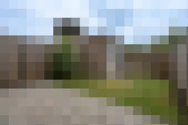 Maasdijk 2 d Heerewaarden thumbnail 4