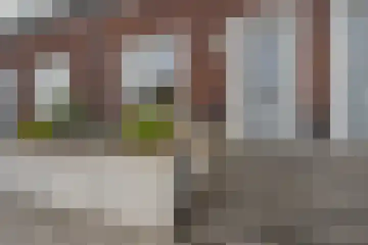 Maasdijk 2 d Heerewaarden thumbnail 7