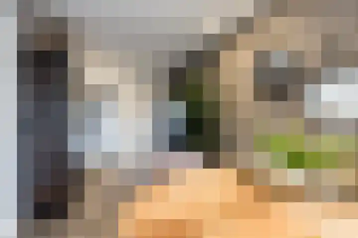 Maasdijk 2 e Heerewaarden thumbnail 15