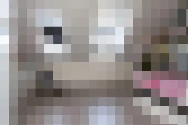 Maasdijk 2 e Heerewaarden thumbnail 29