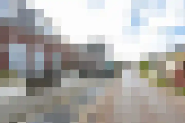 Maasdijk 2 e Heerewaarden thumbnail 52
