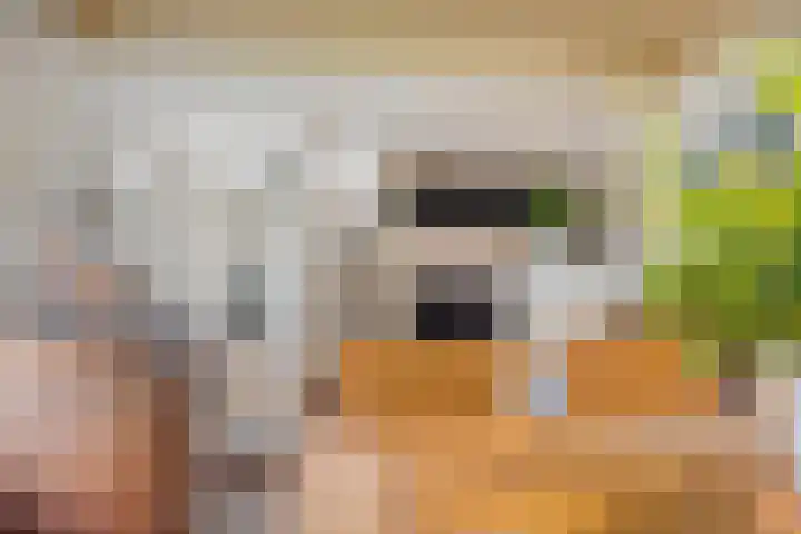 Maasdijk 2 Poederoijen thumbnail 10