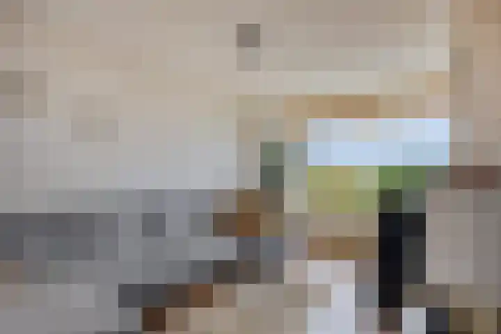 Maasdijk 2 Poederoijen thumbnail 13