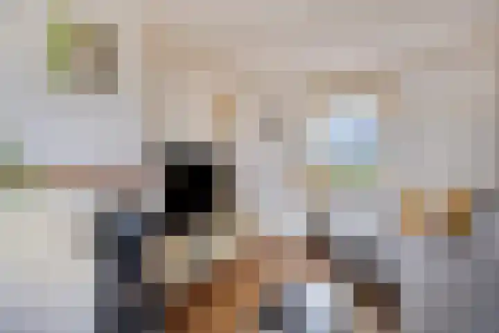 Maasdijk 2 Poederoijen thumbnail 14