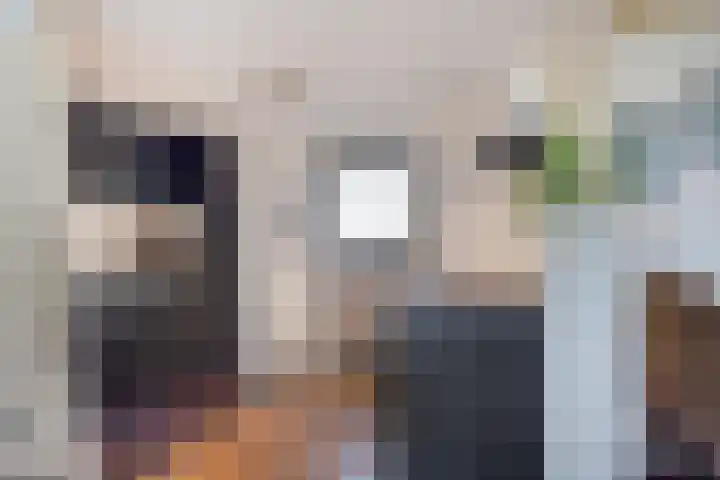 Maasdijk 2 Poederoijen thumbnail 18