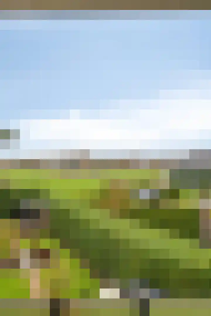 Maasdijk 2 Poederoijen thumbnail 28