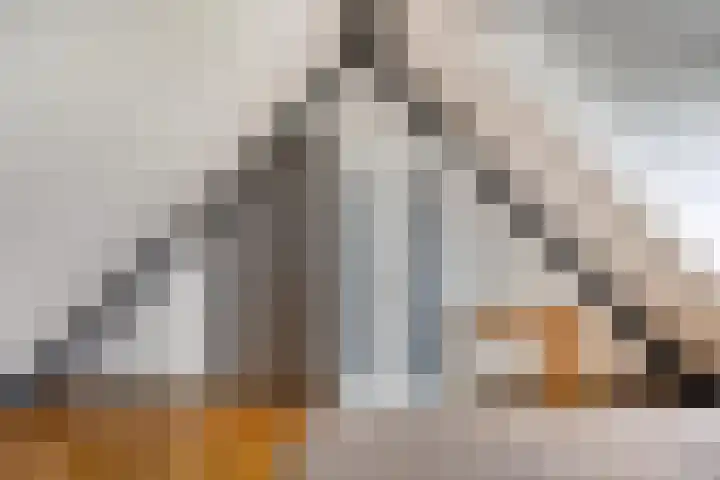 Maasdijk 2 Poederoijen thumbnail 30