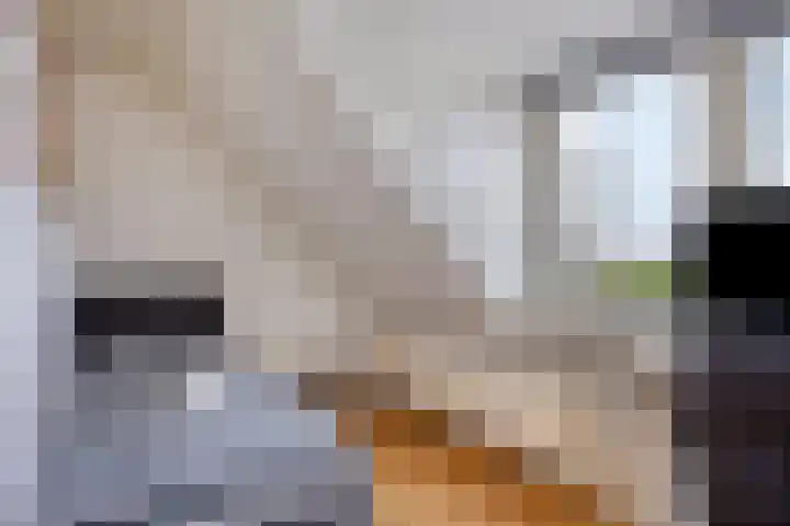 Maasdijk 2 Poederoijen thumbnail 31