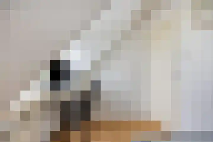 Maasdijk 2 Poederoijen thumbnail 33