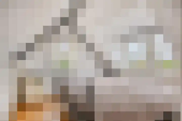 Maasdijk 2 Poederoijen thumbnail 34