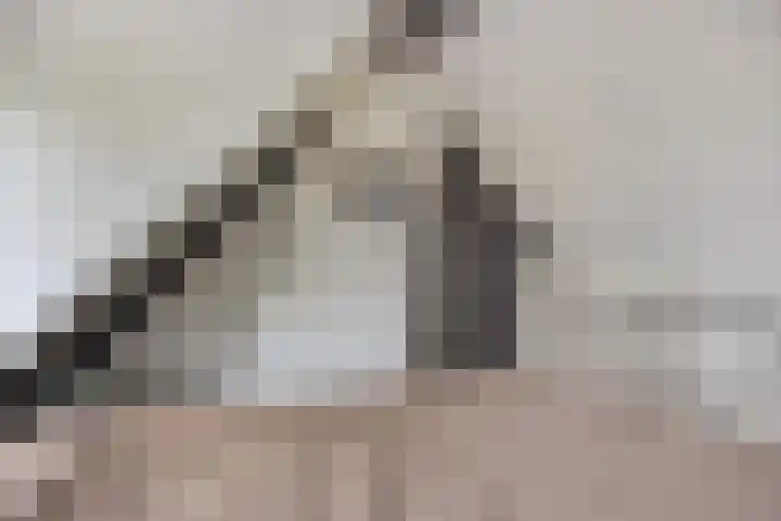 Maasdijk 2 Poederoijen thumbnail 35