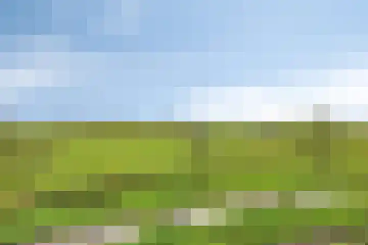 Maasdijk 2 Poederoijen thumbnail 36