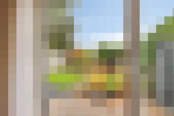 Maasdijk 2 Poederoijen thumbnail 39