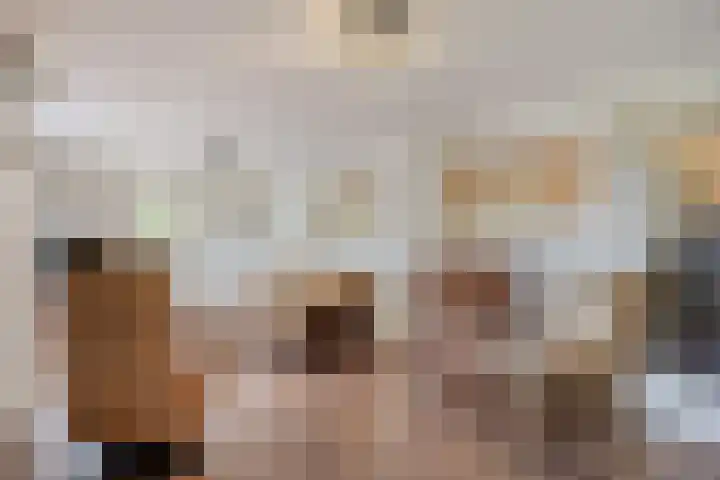 Maasdijk 2 Poederoijen thumbnail 44