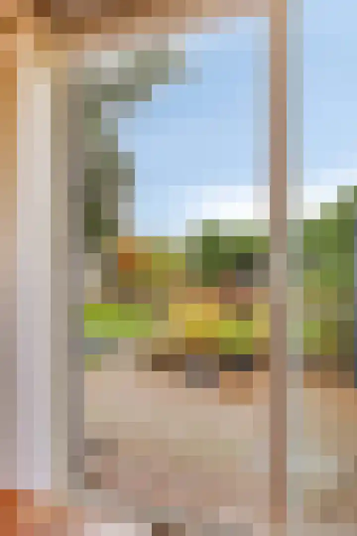 Maasdijk 2 Poederoijen thumbnail 45