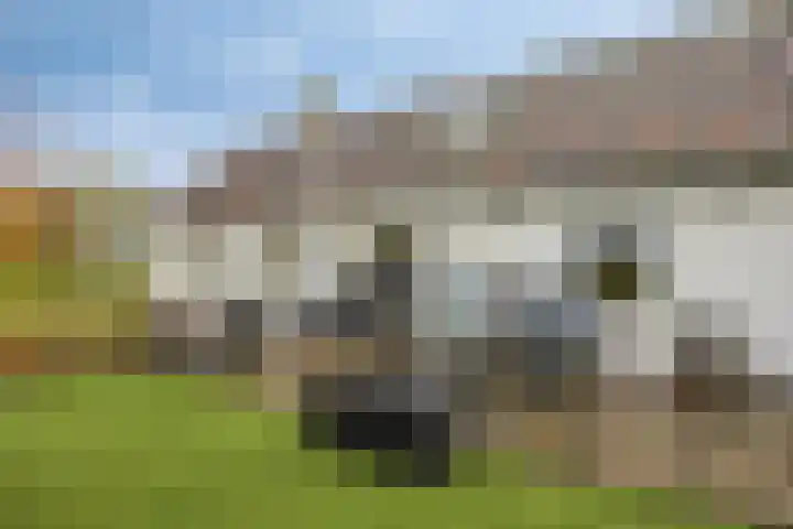 Maasdijk 2 Poederoijen thumbnail 52