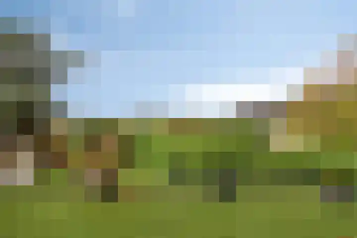 Maasdijk 2 Poederoijen thumbnail 53