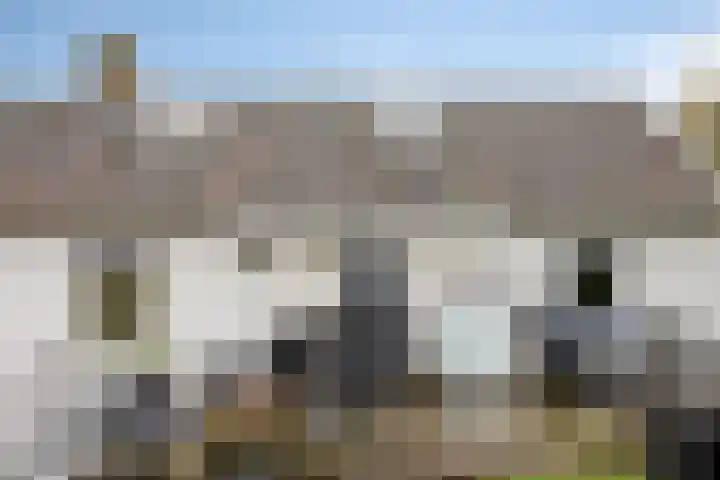 Maasdijk 2 Poederoijen thumbnail 54