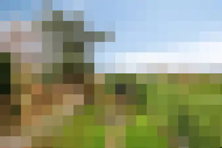 Maasdijk 2 Poederoijen thumbnail 55