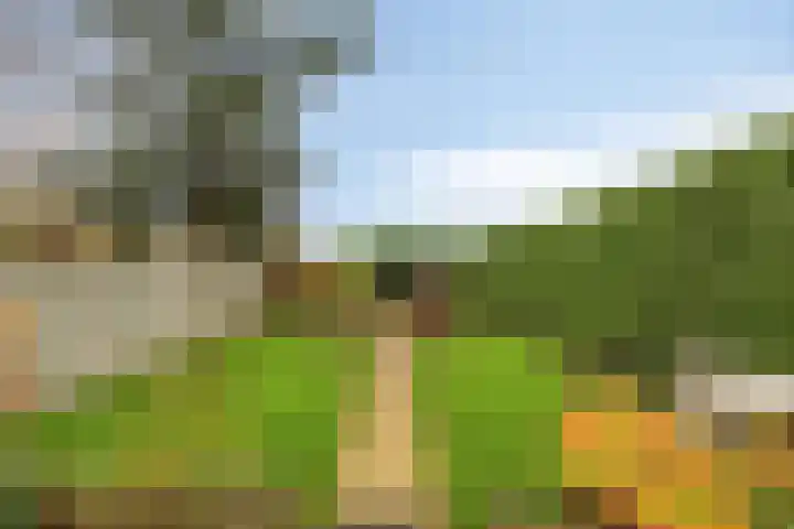 Maasdijk 2 Poederoijen thumbnail 56