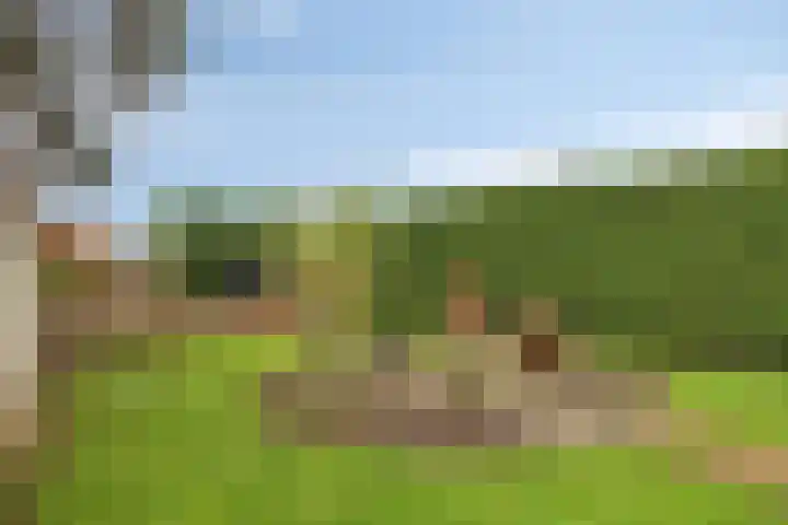 Maasdijk 2 Poederoijen thumbnail 57