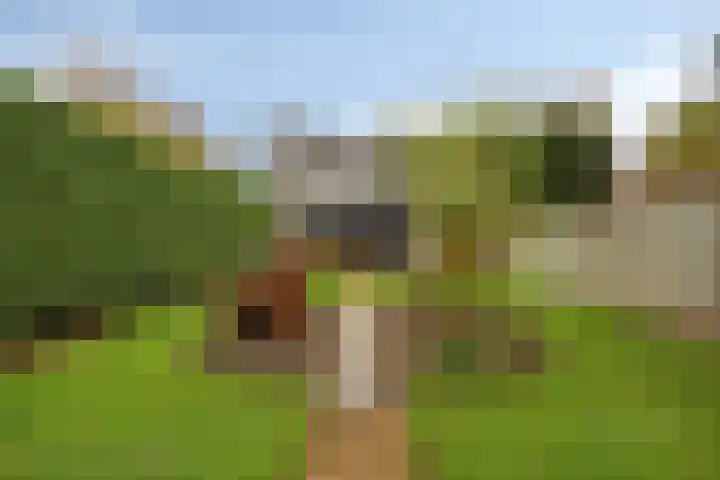Maasdijk 2 Poederoijen thumbnail 58