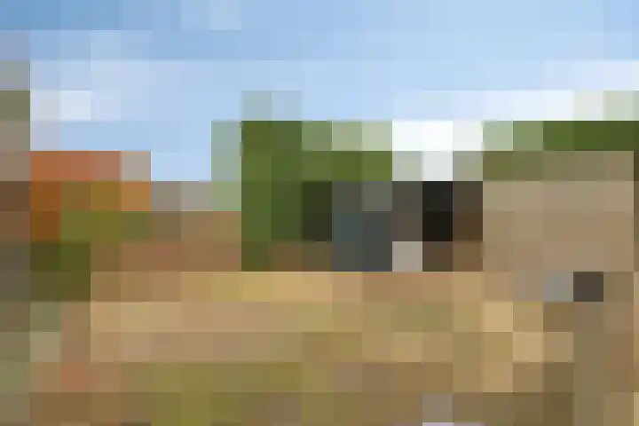 Maasdijk 2 Poederoijen thumbnail 59