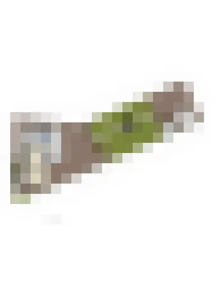 Maasdijk 2 Poederoijen thumbnail 61