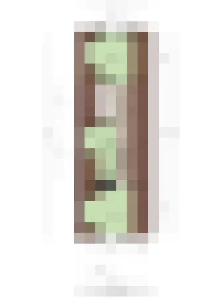 Maasdijk 2 Poederoijen thumbnail 63