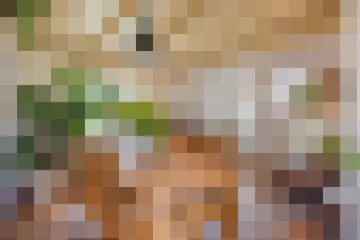 Maasdijk 2 Poederoijen thumbnail 9