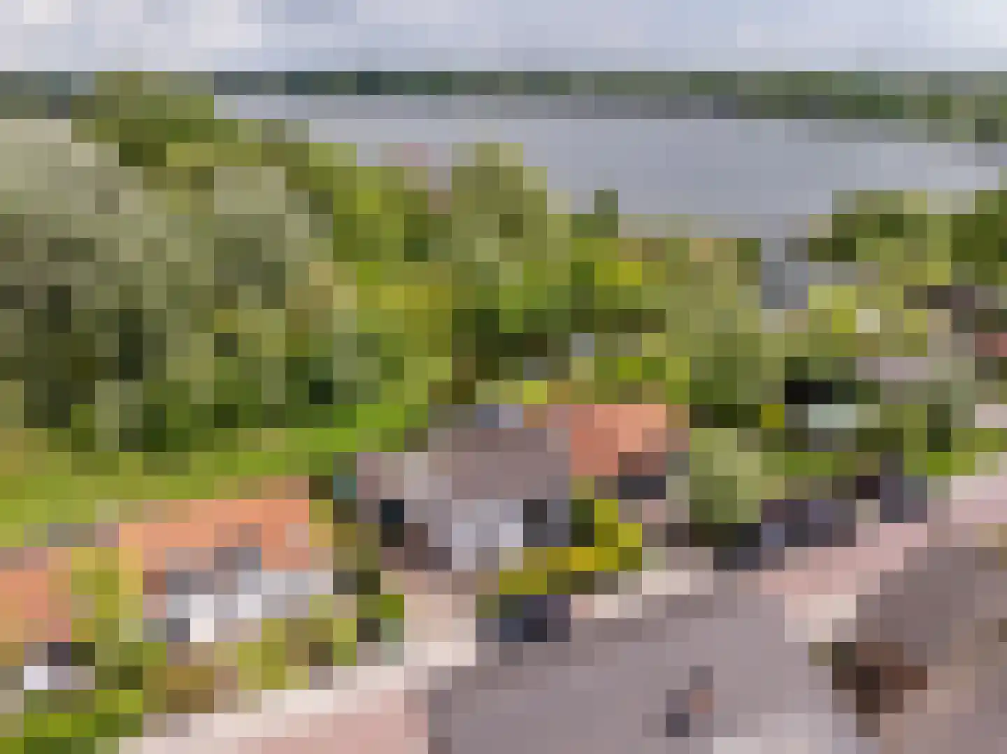 Maasdijk 21 in Mijnsheerenland