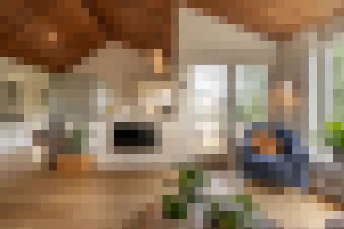 Maasdijk 21 Mijnsheerenland thumbnail 11