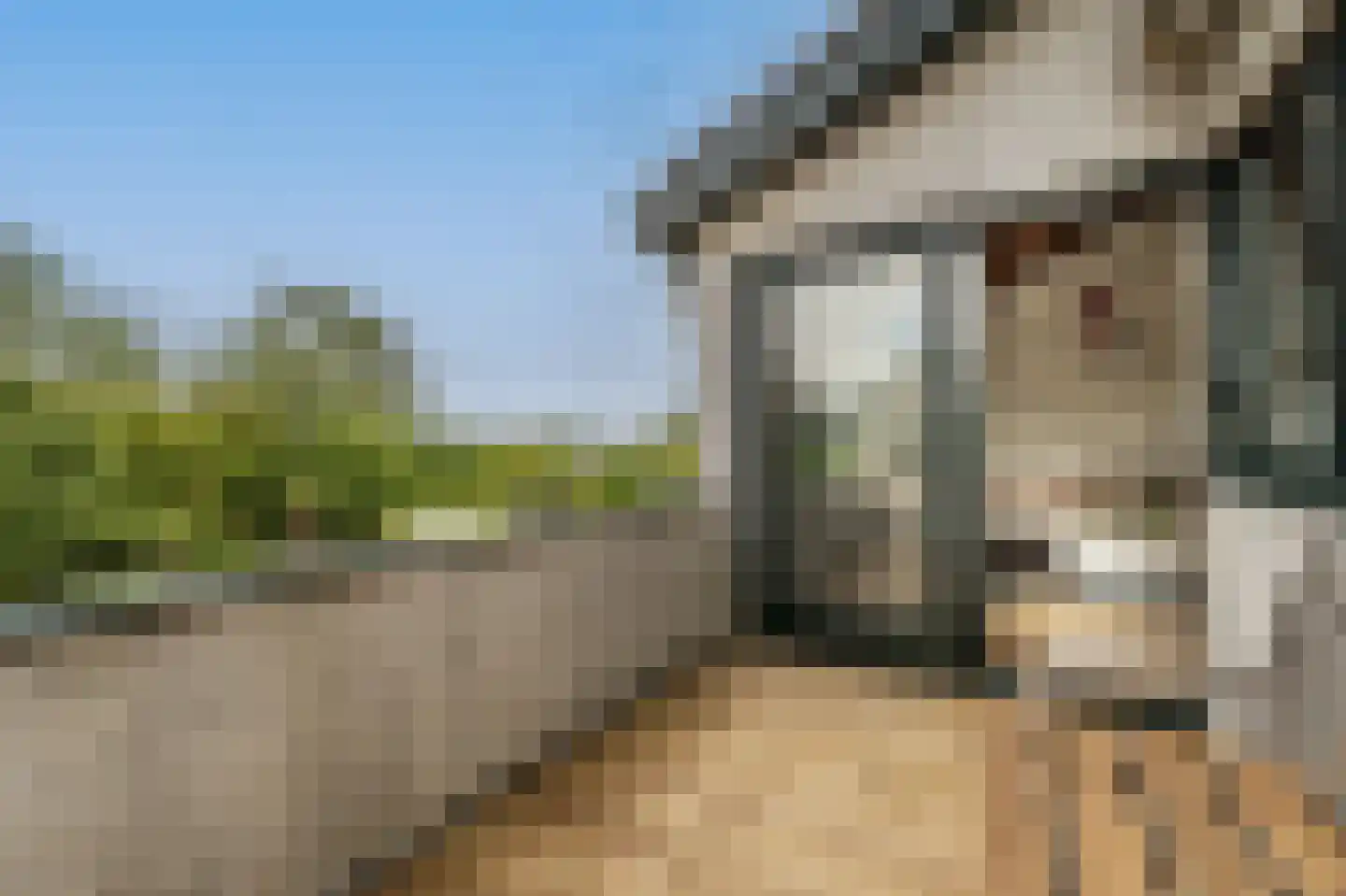 Maasdijk 21 Mijnsheerenland thumbnail 12
