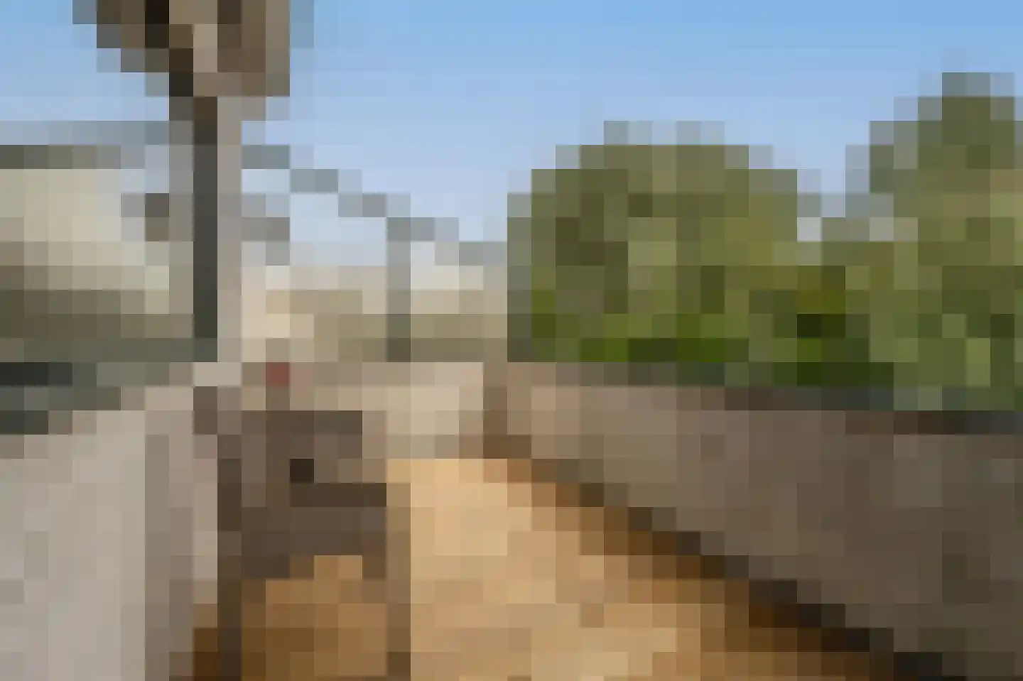 Maasdijk 21 Mijnsheerenland thumbnail 13