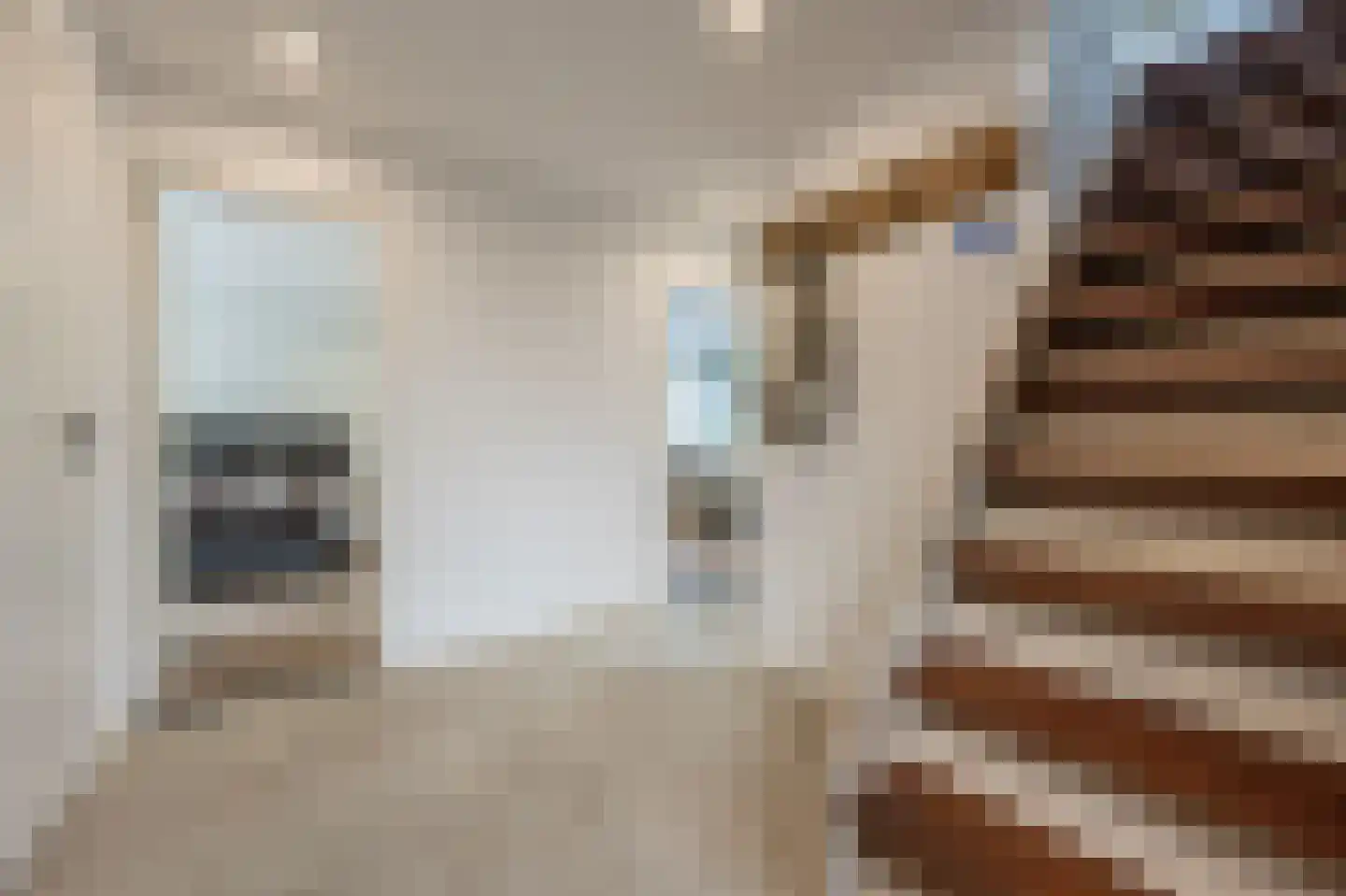 Maasdijk 21 Mijnsheerenland thumbnail 17