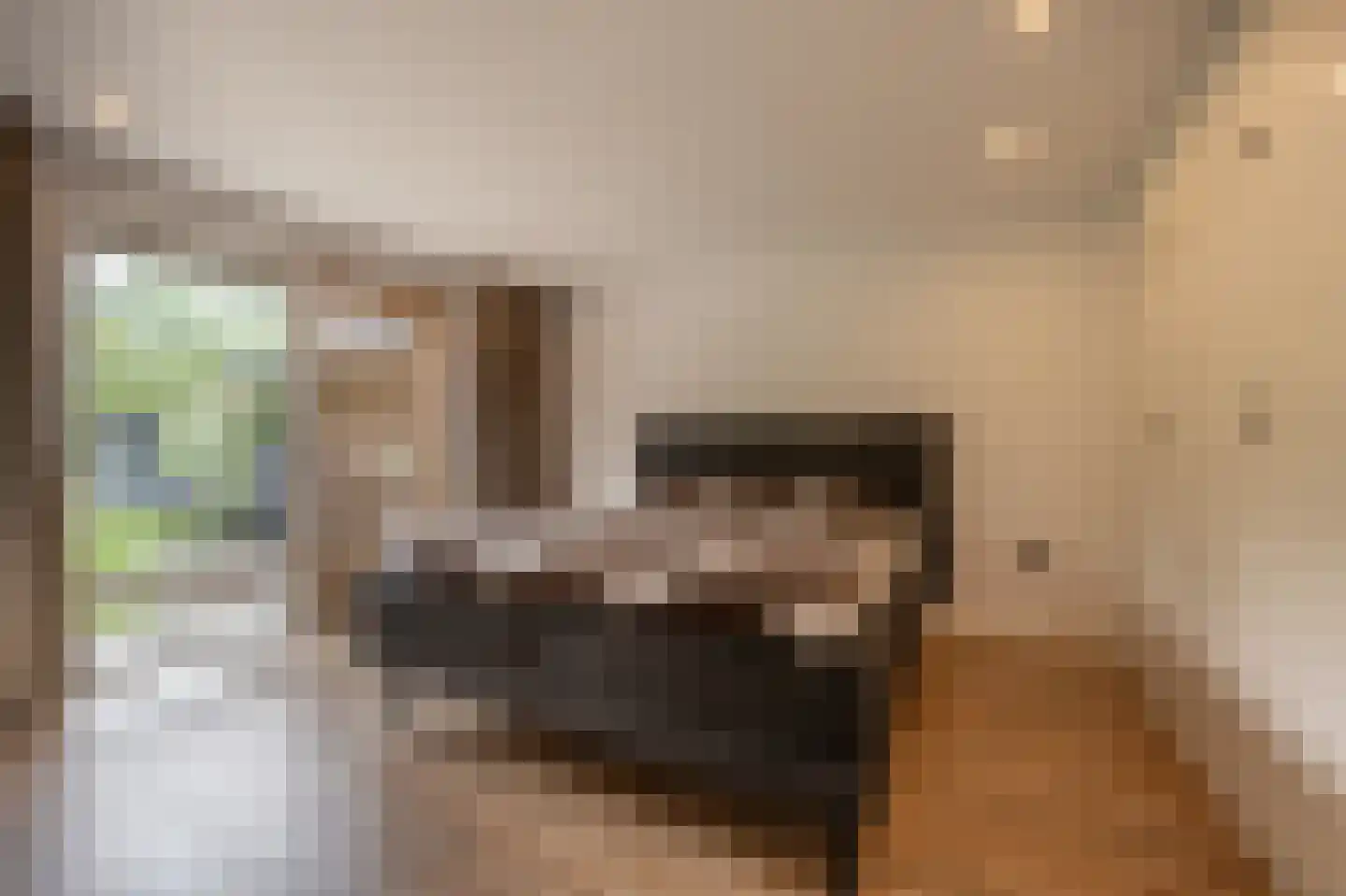 Maasdijk 21 Mijnsheerenland thumbnail 18