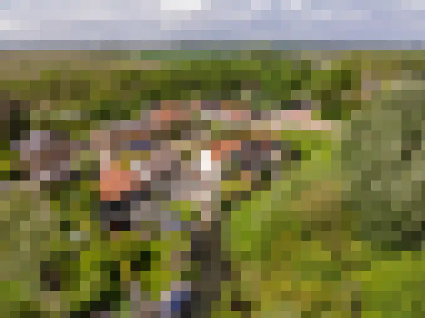 Maasdijk 21 Mijnsheerenland foto 2