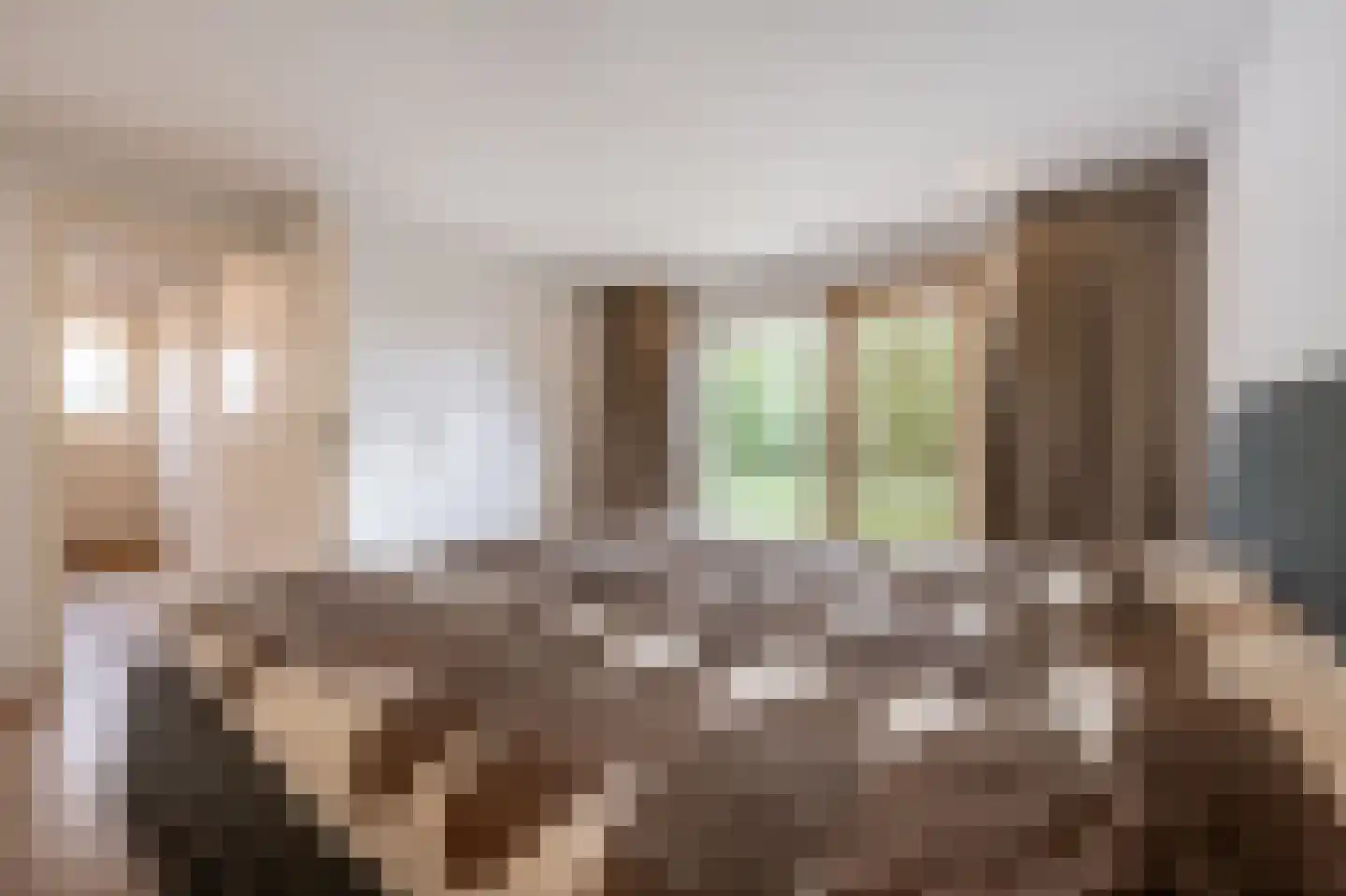 Maasdijk 21 Mijnsheerenland thumbnail 20
