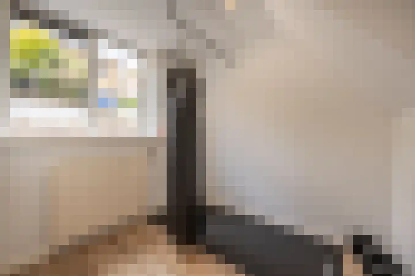Maasdijk 21 Mijnsheerenland thumbnail 25