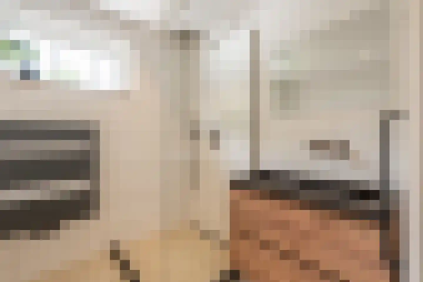 Maasdijk 21 Mijnsheerenland thumbnail 29
