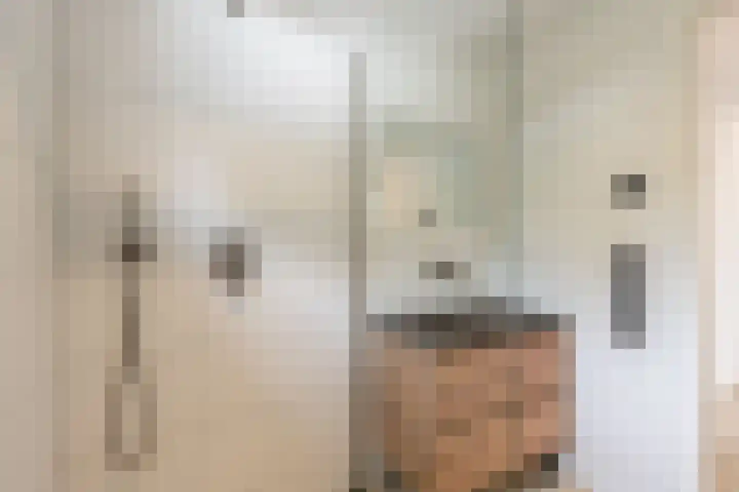 Maasdijk 21 Mijnsheerenland thumbnail 30