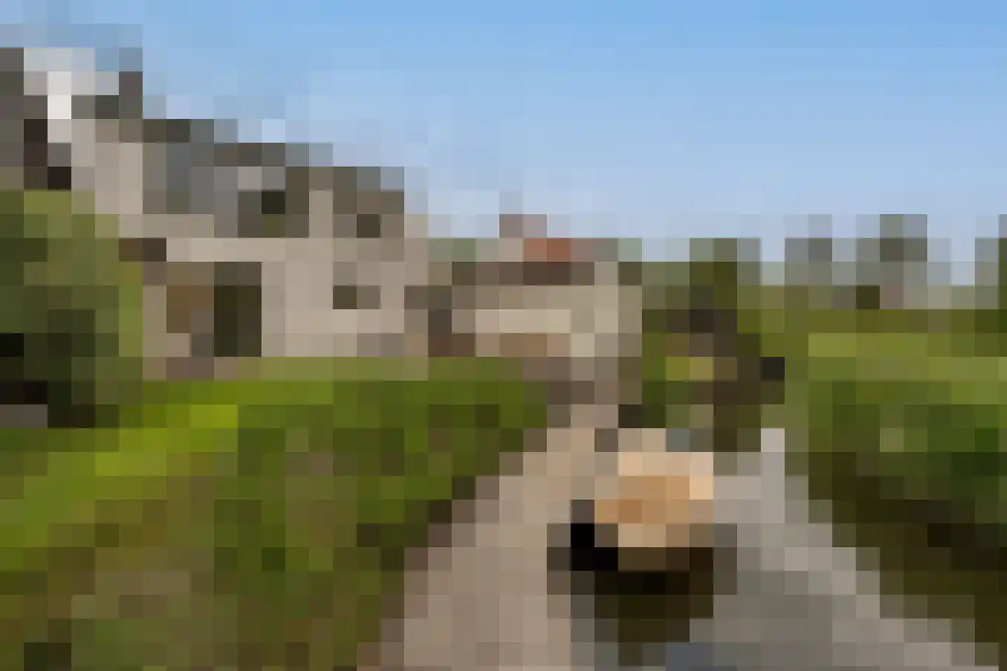Maasdijk 21 Mijnsheerenland thumbnail 32