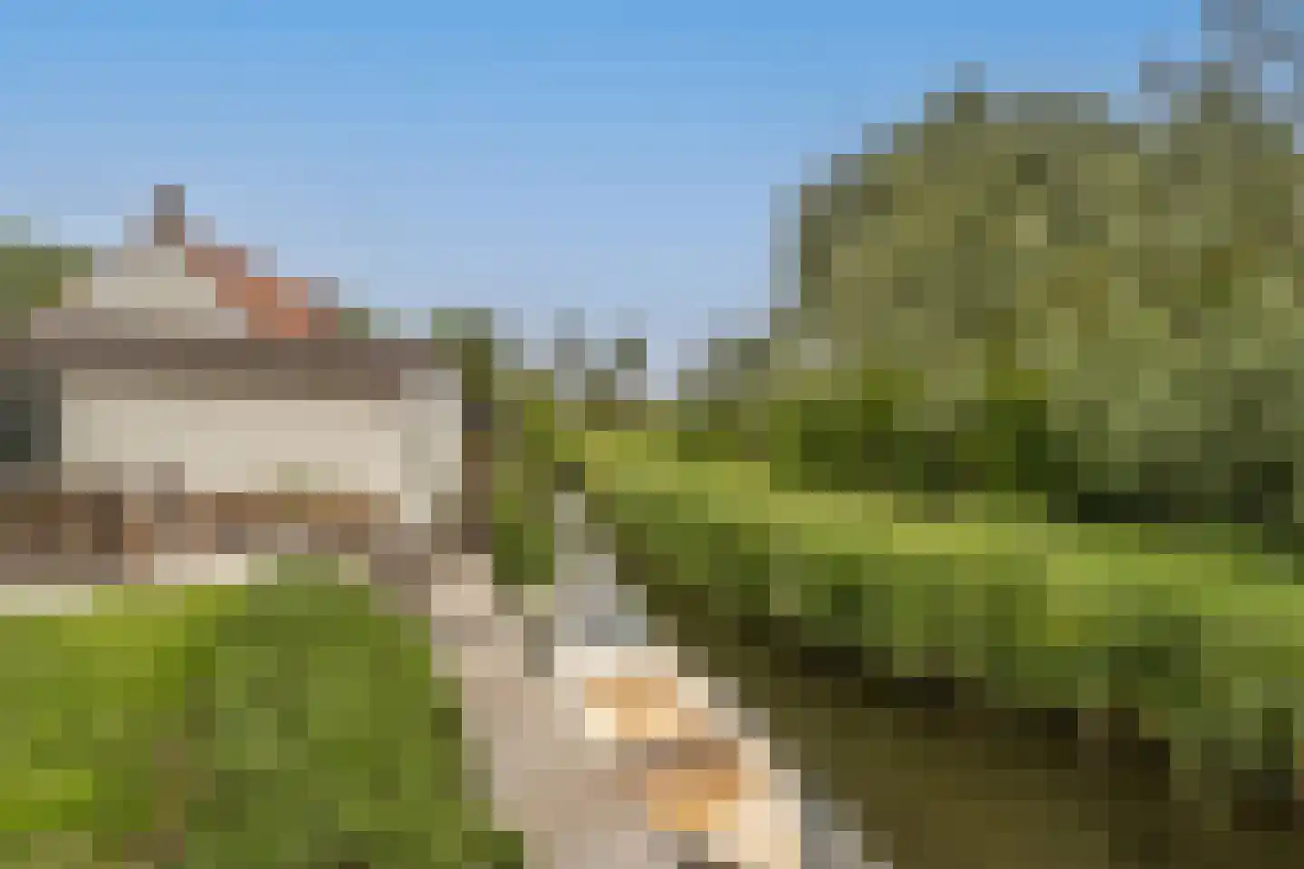 Maasdijk 21 Mijnsheerenland thumbnail 33