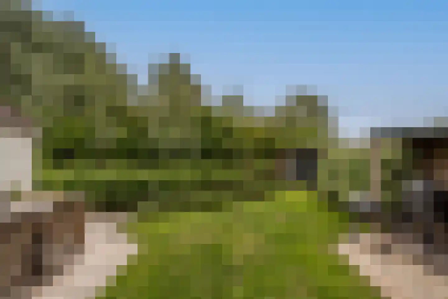 Maasdijk 21 Mijnsheerenland thumbnail 36
