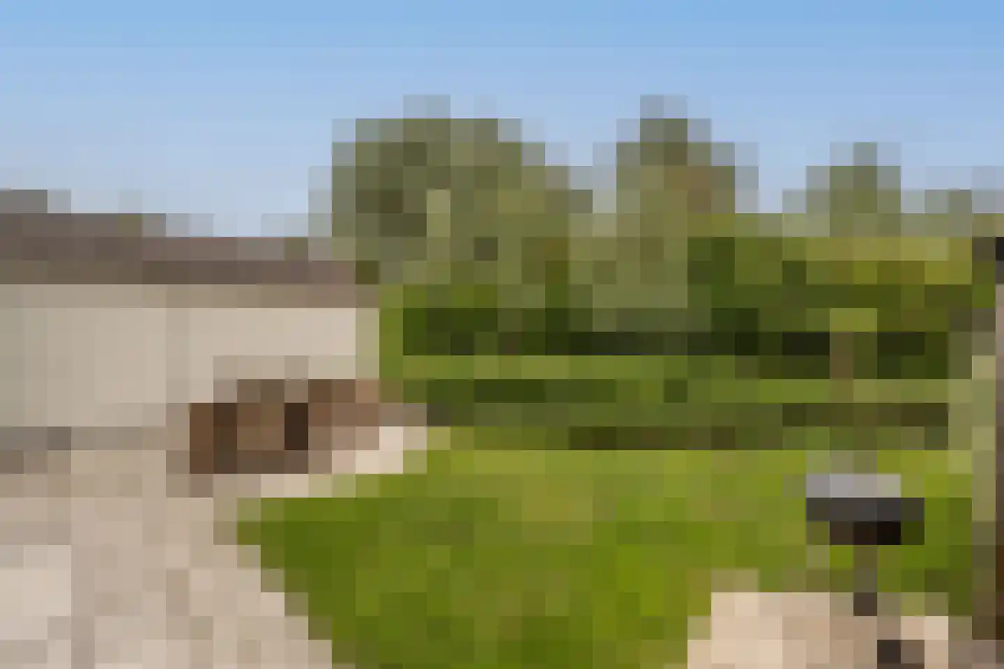 Maasdijk 21 Mijnsheerenland thumbnail 37